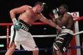 Tyson masuk dalam target...