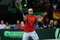 David Ferrer lolos ke...