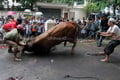 Banyak hewan kurban...