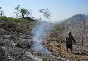 Budaya tebas bakar masih...