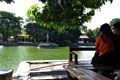 Kolam susut, tanaman...