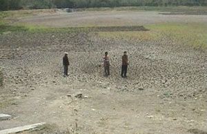 Kemarau, 40 hektar sawah...