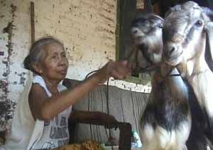 Nenek Wainah rela makan...