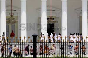 Pernyataan pihak Istana...