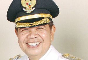 Wakil Bupati Pelelawan...