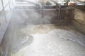 Limbah PT CS2 Pola Sehat...