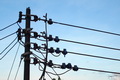 Pencatat meteran PLN...