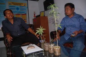 Napi Lapas Bone tanam...