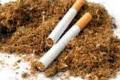 Soal FCTC, Agung Laksono...