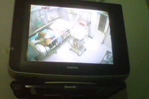 4 bulan kerja di peternakan,...