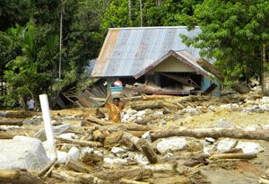 Banjir Wasior, banyak...