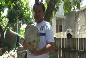 Batu menyerupai alien...