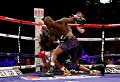 Wilder target berikutnya...