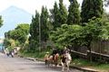 Wisata Tretes kurang...