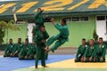 Pangdam: Yongmoodo campuran...