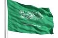 Arab Saudi sarankan...