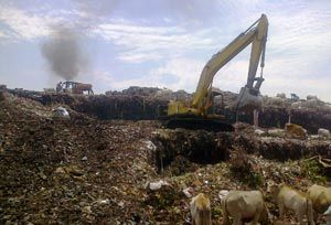 Terjebak sampah, 10...