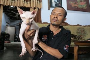 Melongok penangkaran...