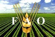 FAO: Harga pangan dunia...