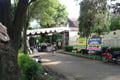 Rumah Rosa dipenuhi...