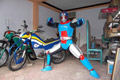 Identitas pahlawan bertopeng...