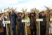 Mentan berharap produksi...