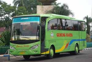 Masuk jurang, sopir...