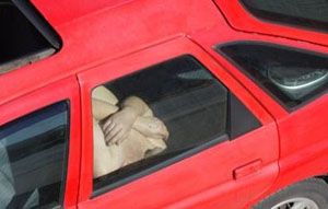 Tidur di mobil, orangtua...