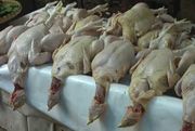 Harga ayam potong di...