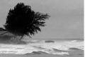 Abrasi, air laut rusak...