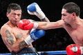 Pulih dari cedera, Matthysse...