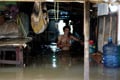 Banjir, ular sanca keluar...