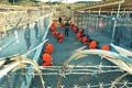Obama: Guantanamo harus...