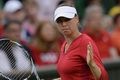 Kebangkitan Zvonareva...