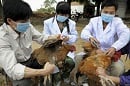 Vietnam waspadai ancaman...