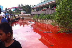 Sungai Bontang berubah...