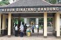 Siksa orang utan, pawang...