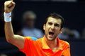 Cilic dalam bentuk terbaik