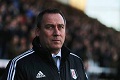 Fulham pecat Meulensteen