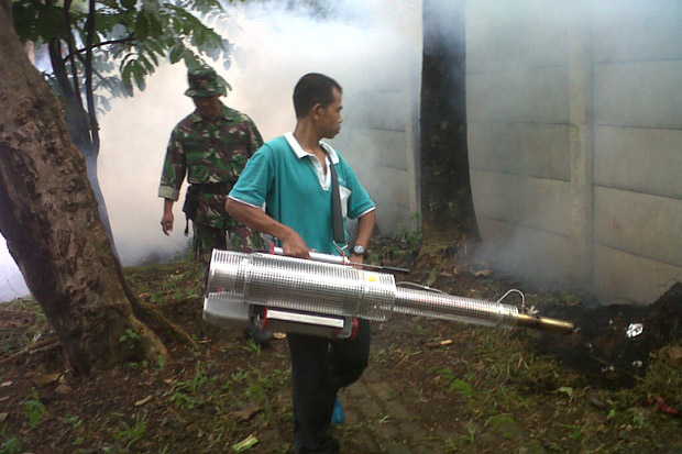 Antisipasi DBD, 4 wilayah...