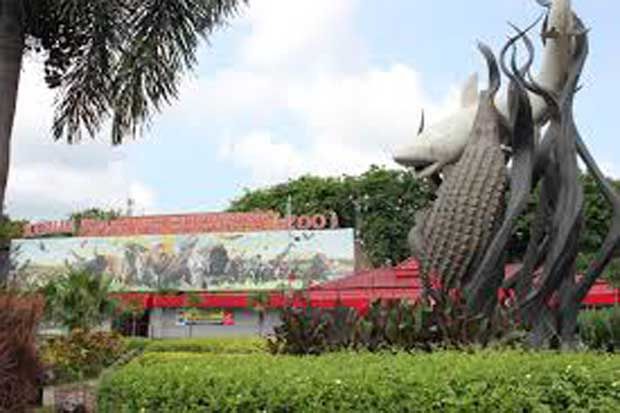 Tukar satwa dengan mobil,...