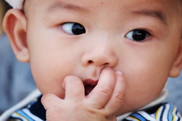 Geger! Mayat bayi dalam...