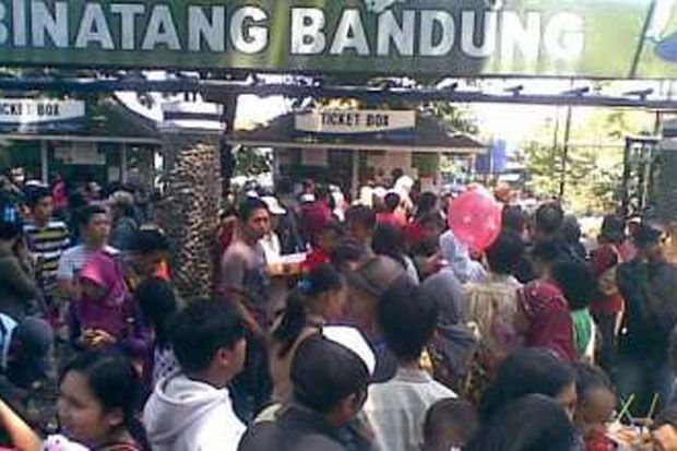 Pemerintah pastikan...