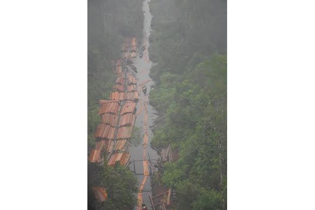 450 ton kayu hasil perambahan...