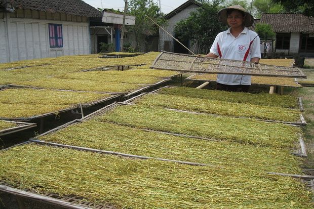 Menperin: Roadmap industri...