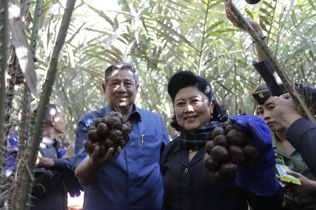 SBY & keluarga nyoblos...