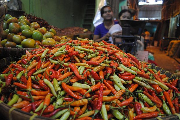 Harga cabai rawit di...