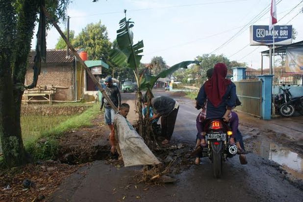 Warga tanami pohon pisang...