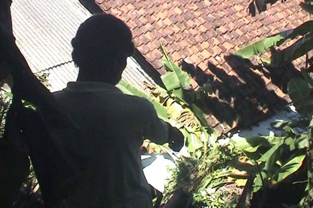 Longsor di Pangandaran,...