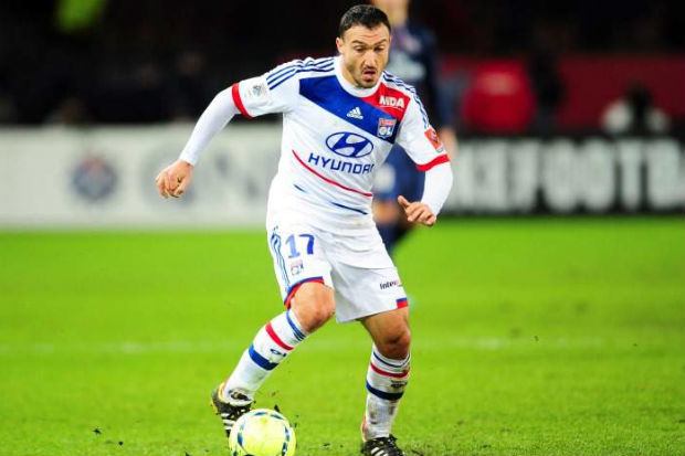 Steed Malbranque ingin...
